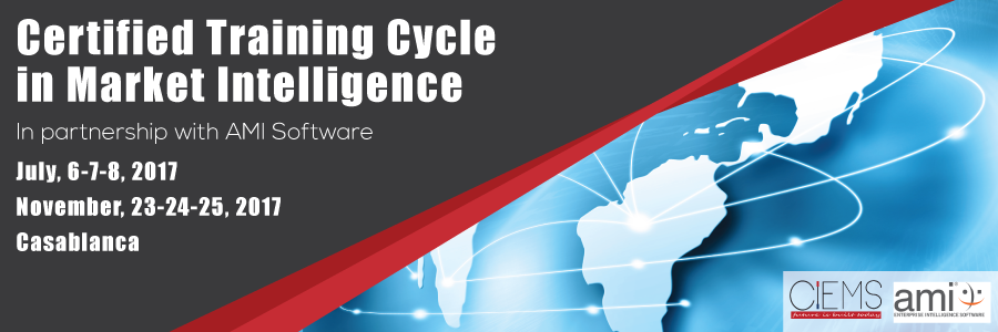 Market Intelligence Training Cycle